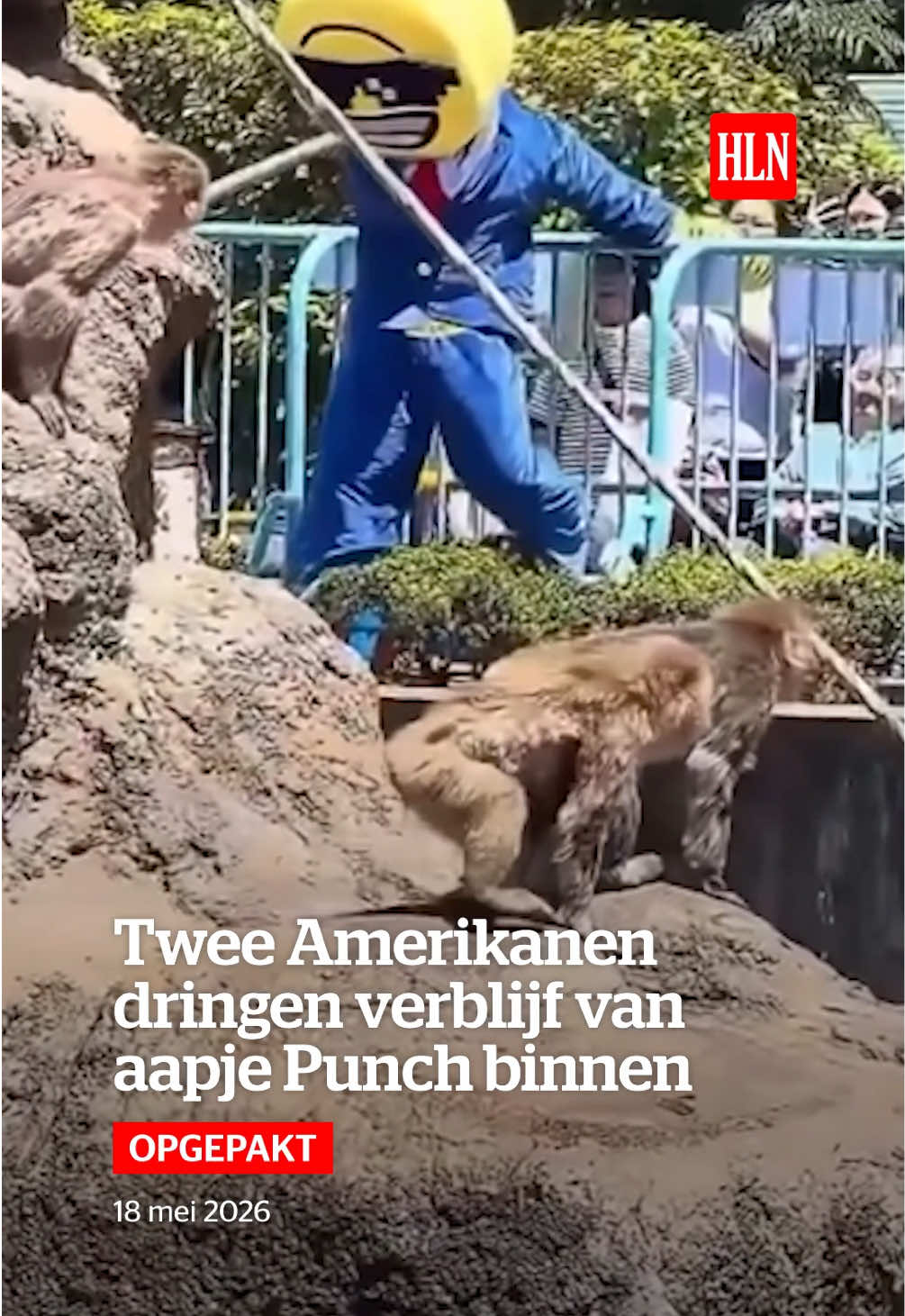 @HLN.be