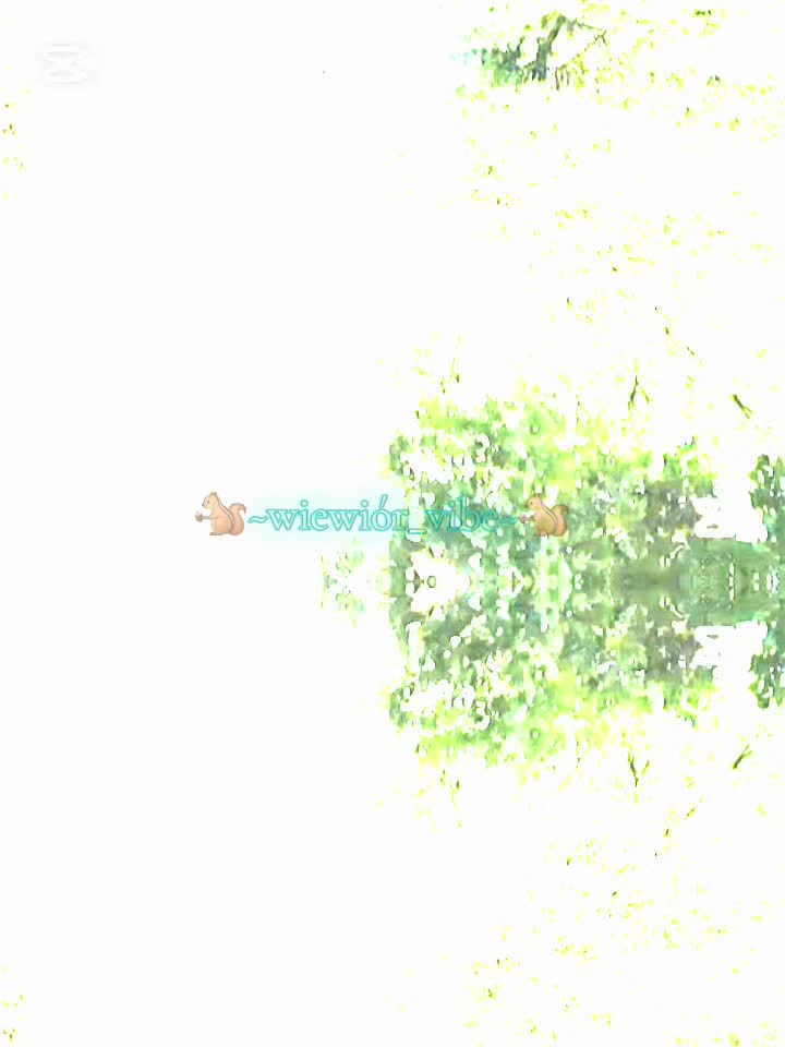 @🐿~wiewiór_vibe~🐿