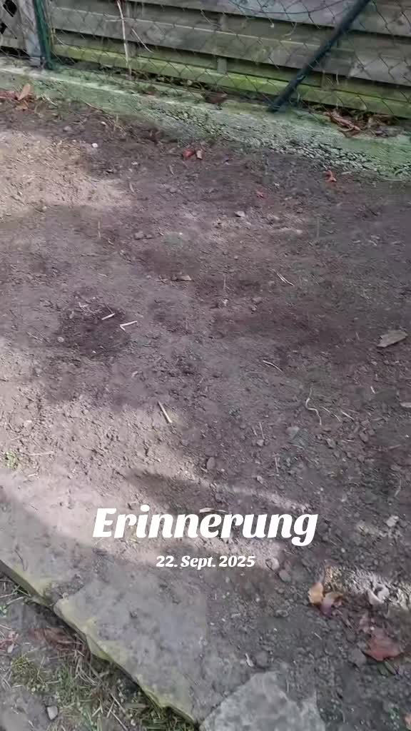 @Maya'sAbenteuer_HexeErinnerung