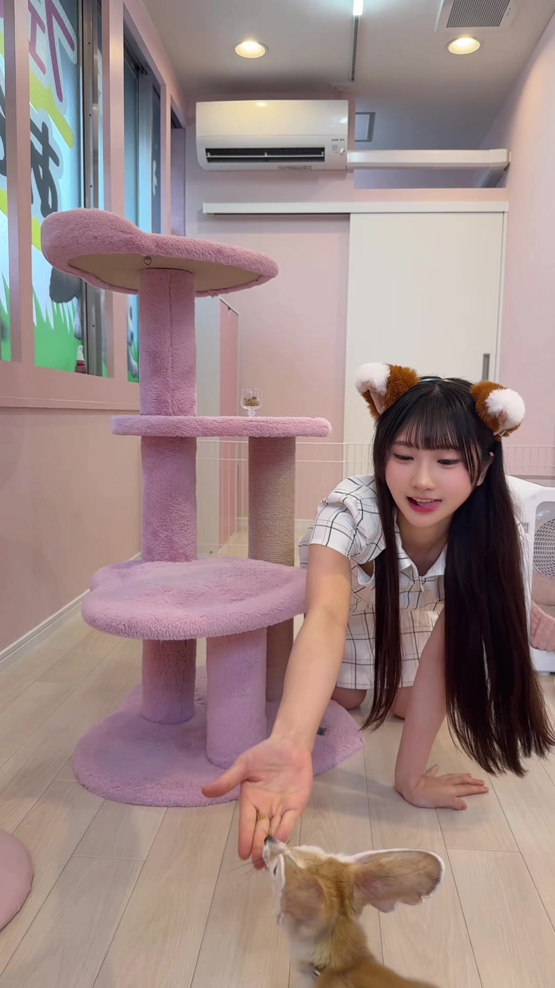 @ひなたあおあお!