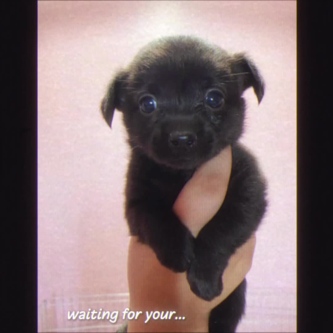 @__2hao