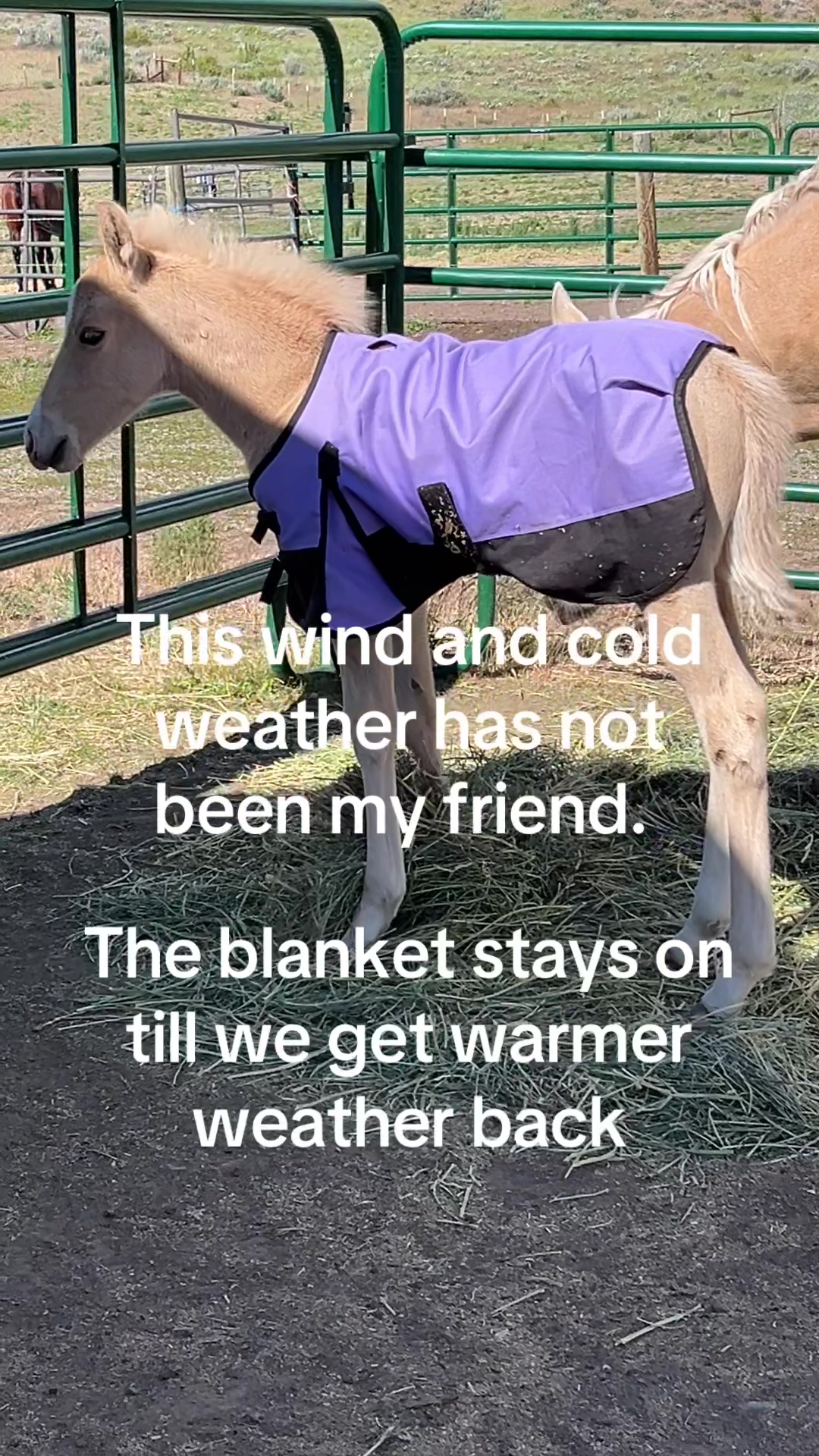 @Heidi