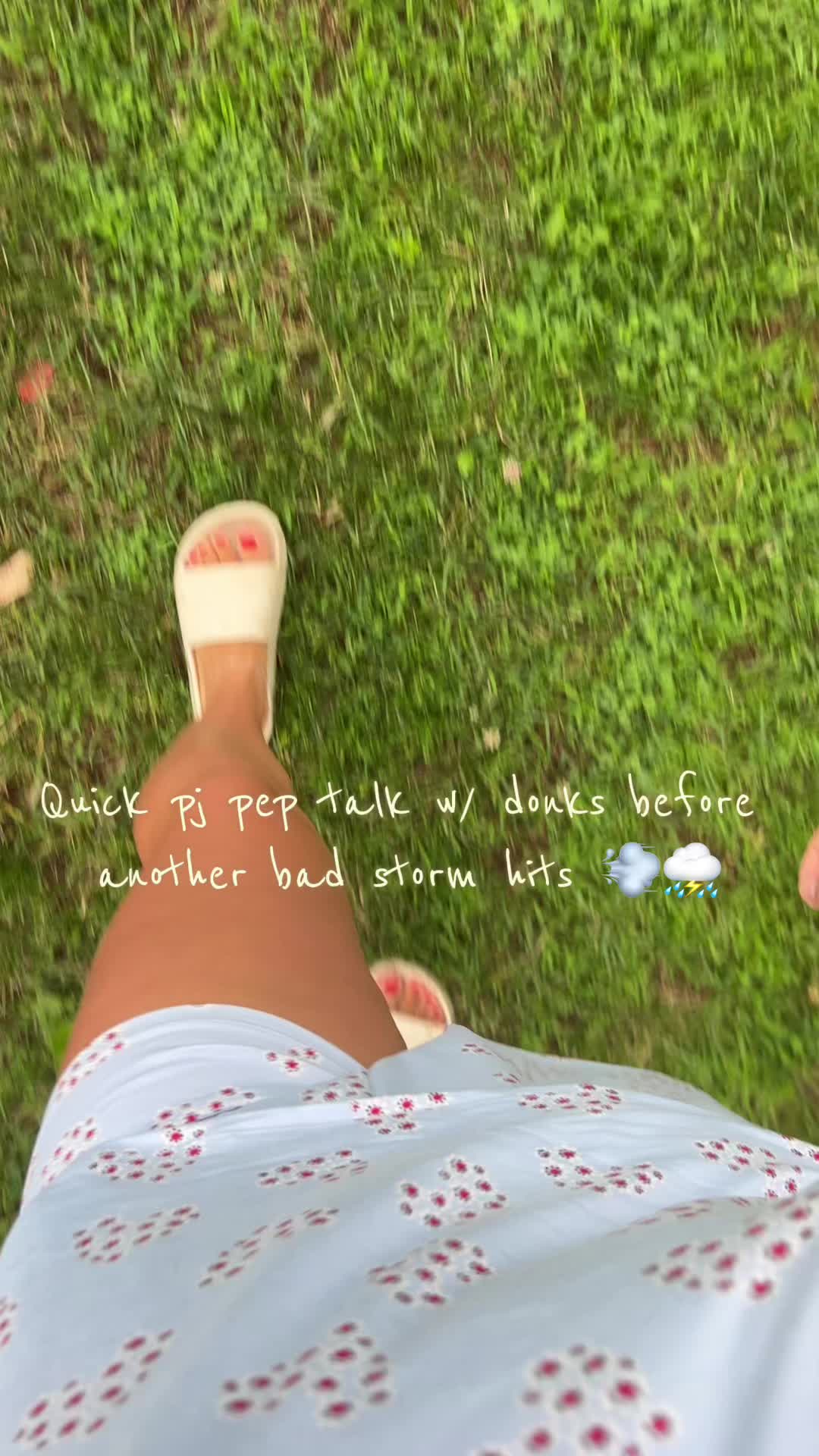 @TAYLORROSE - WONKY&WINDY 🫏