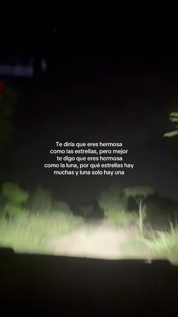 @Elarmdp16