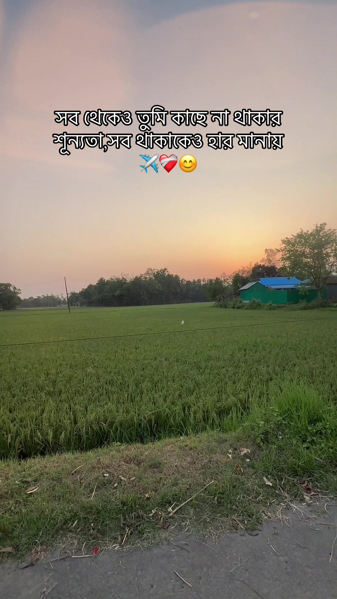 @Monalisha Shorna