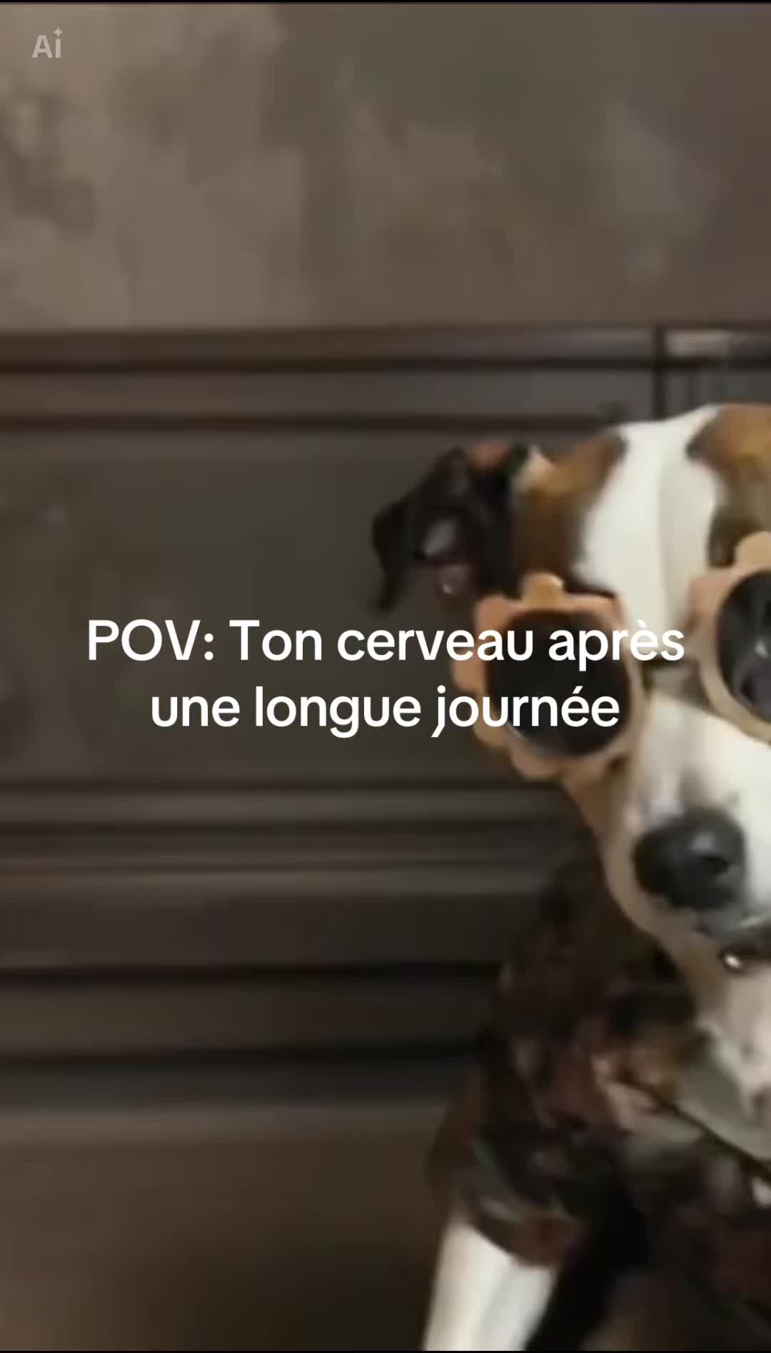 @Drôle de bête 😜