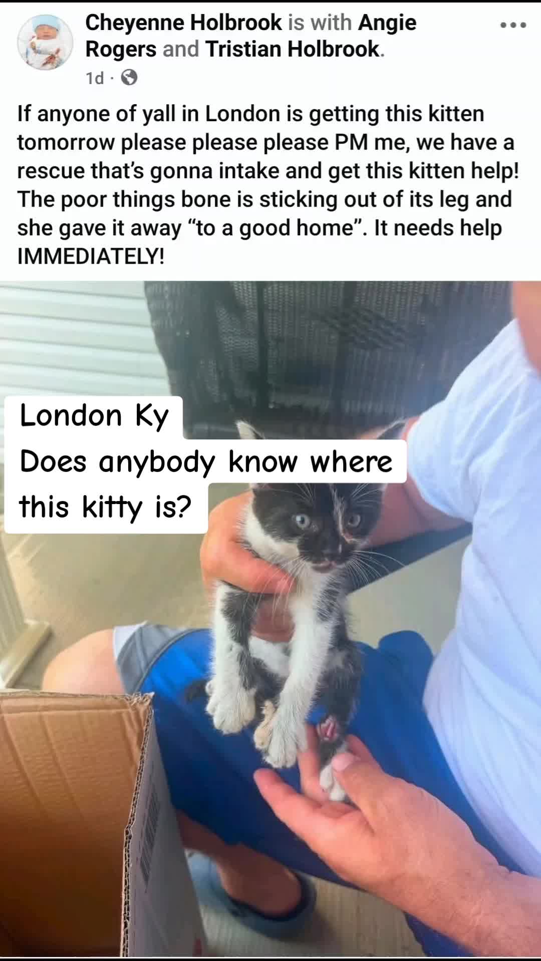 @No More Sad Kitties