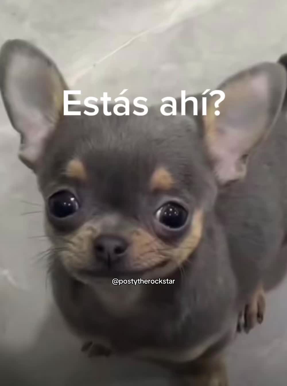 @Sasha๐ค๐