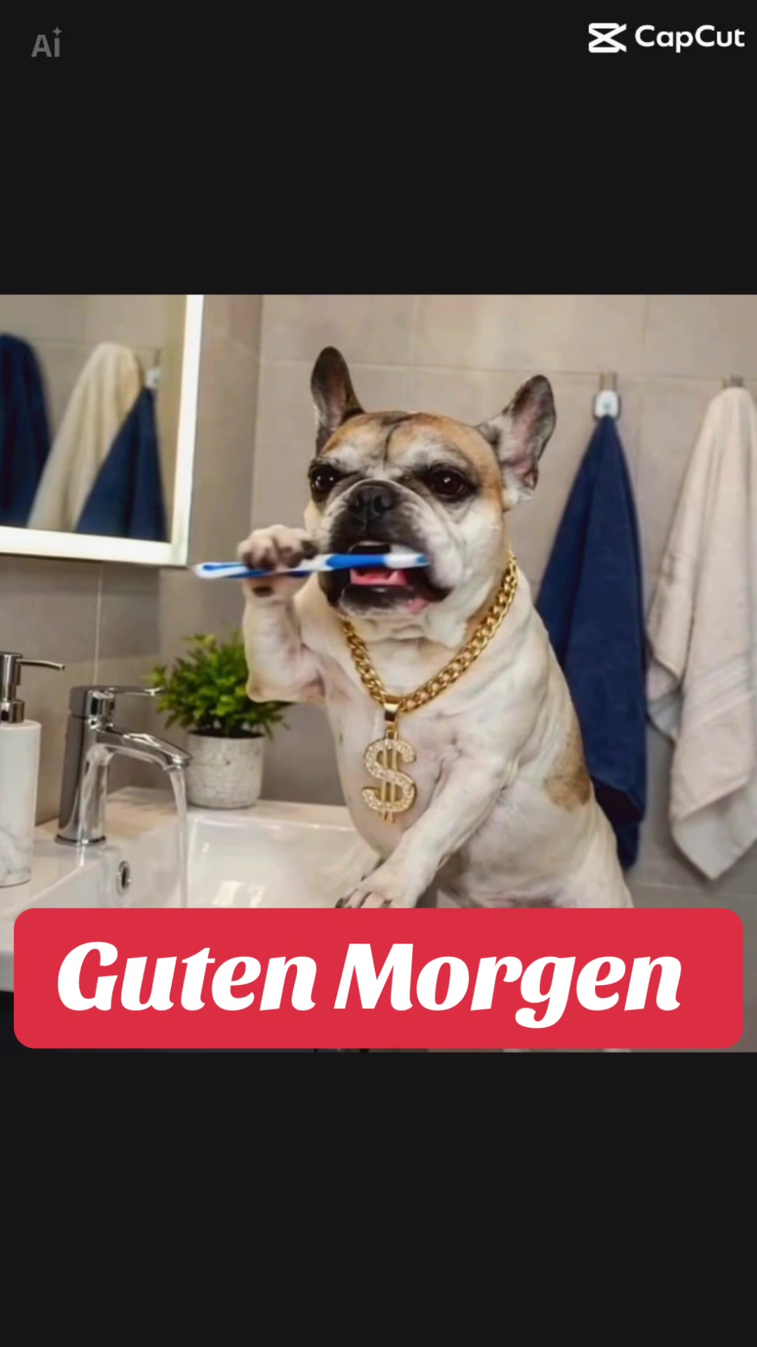 @diddleschnute