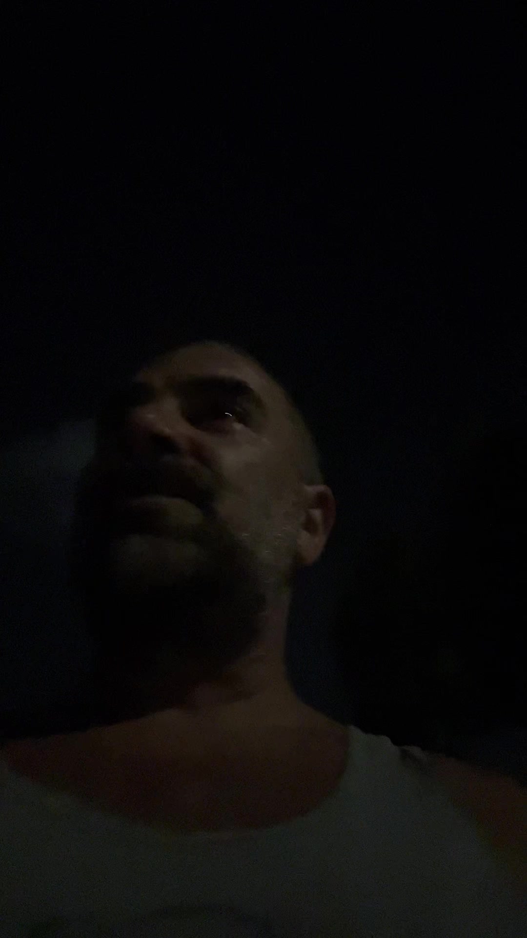 @bearfluence