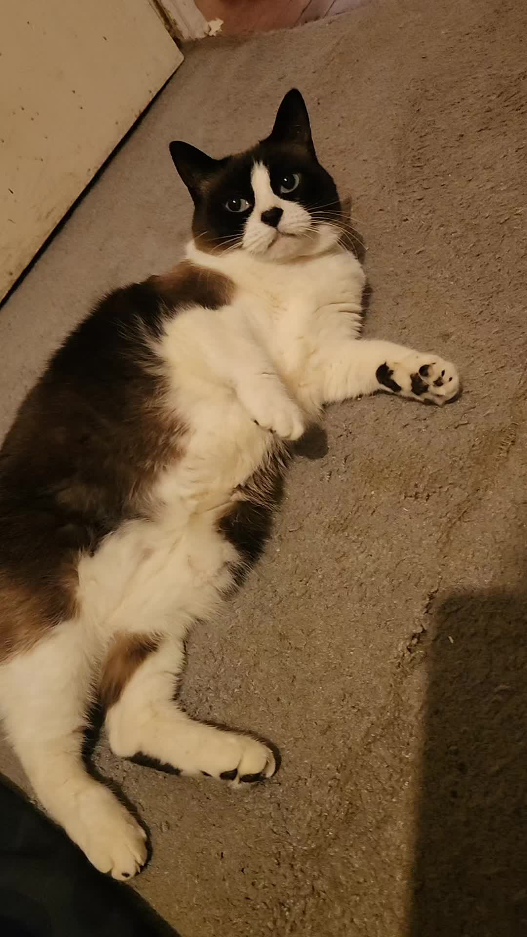 @Stormie