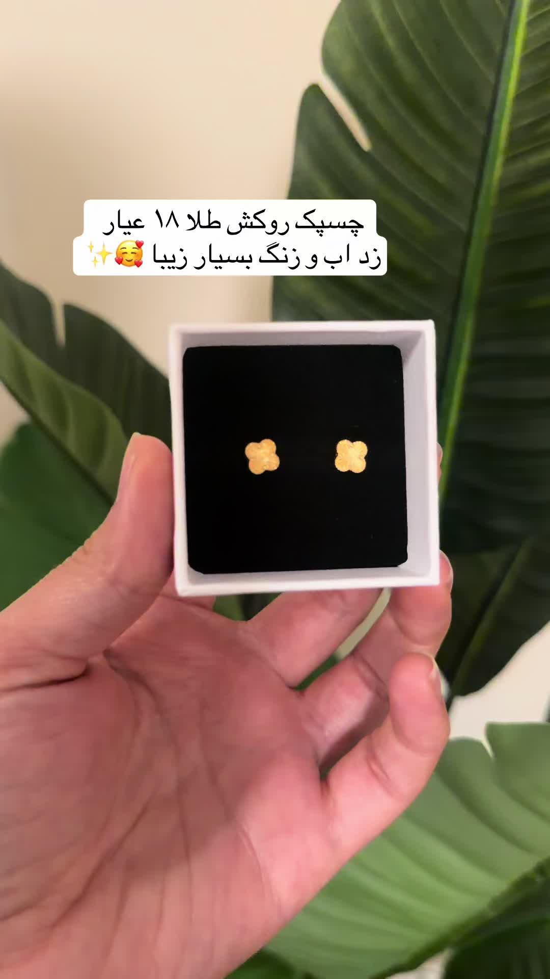 @Dua🌸
