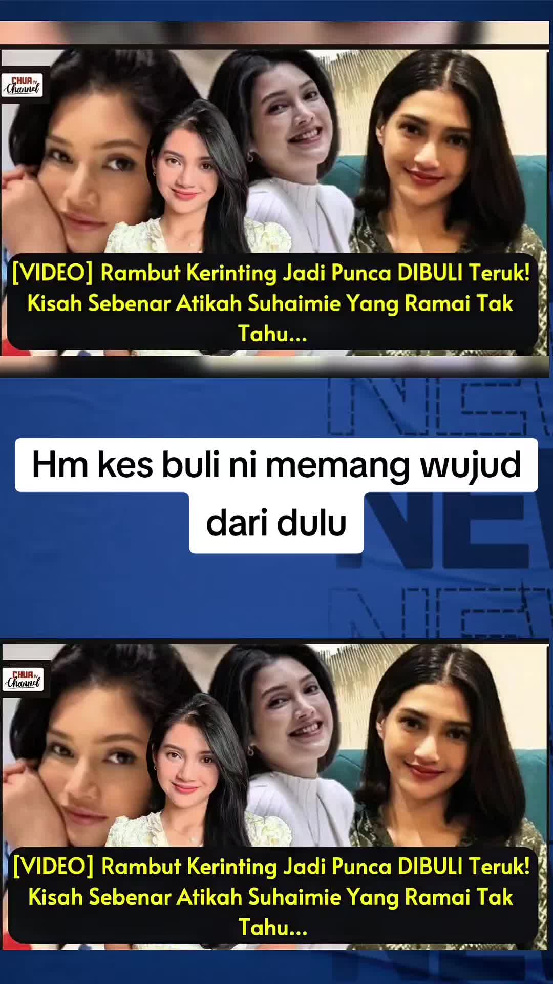 @Netizen Malaya