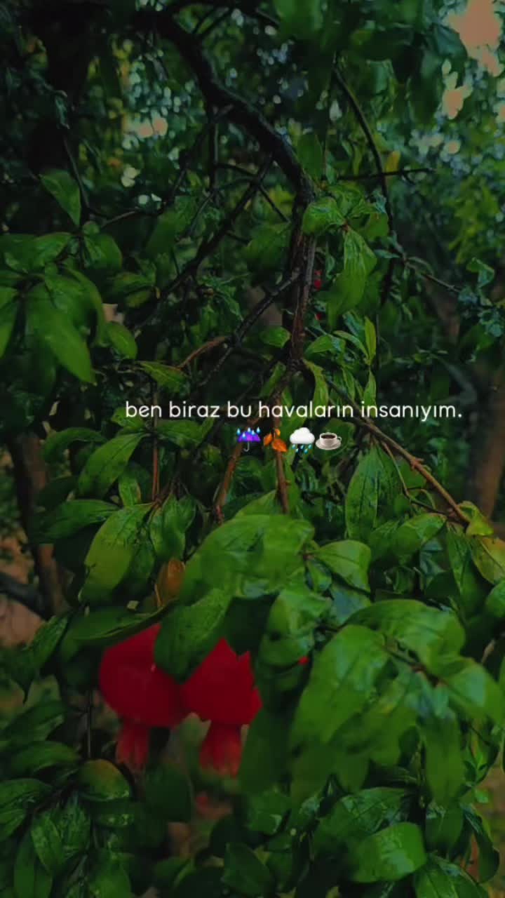 @Selin__93