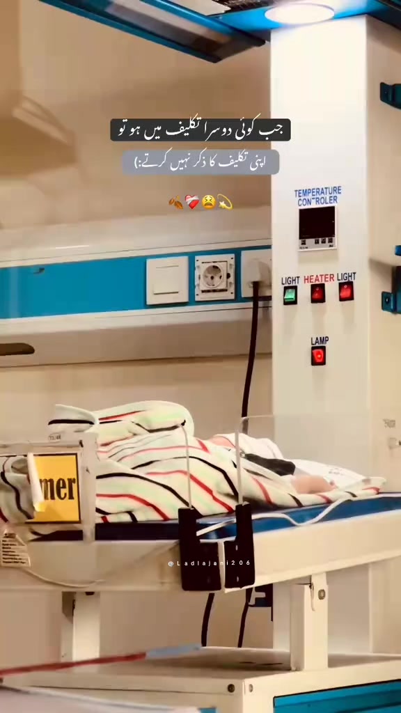 @༆𝓓𝓲𝓵𝓵 𝓭𝓪 𝓳𝓪𝓷𝓲 ✨