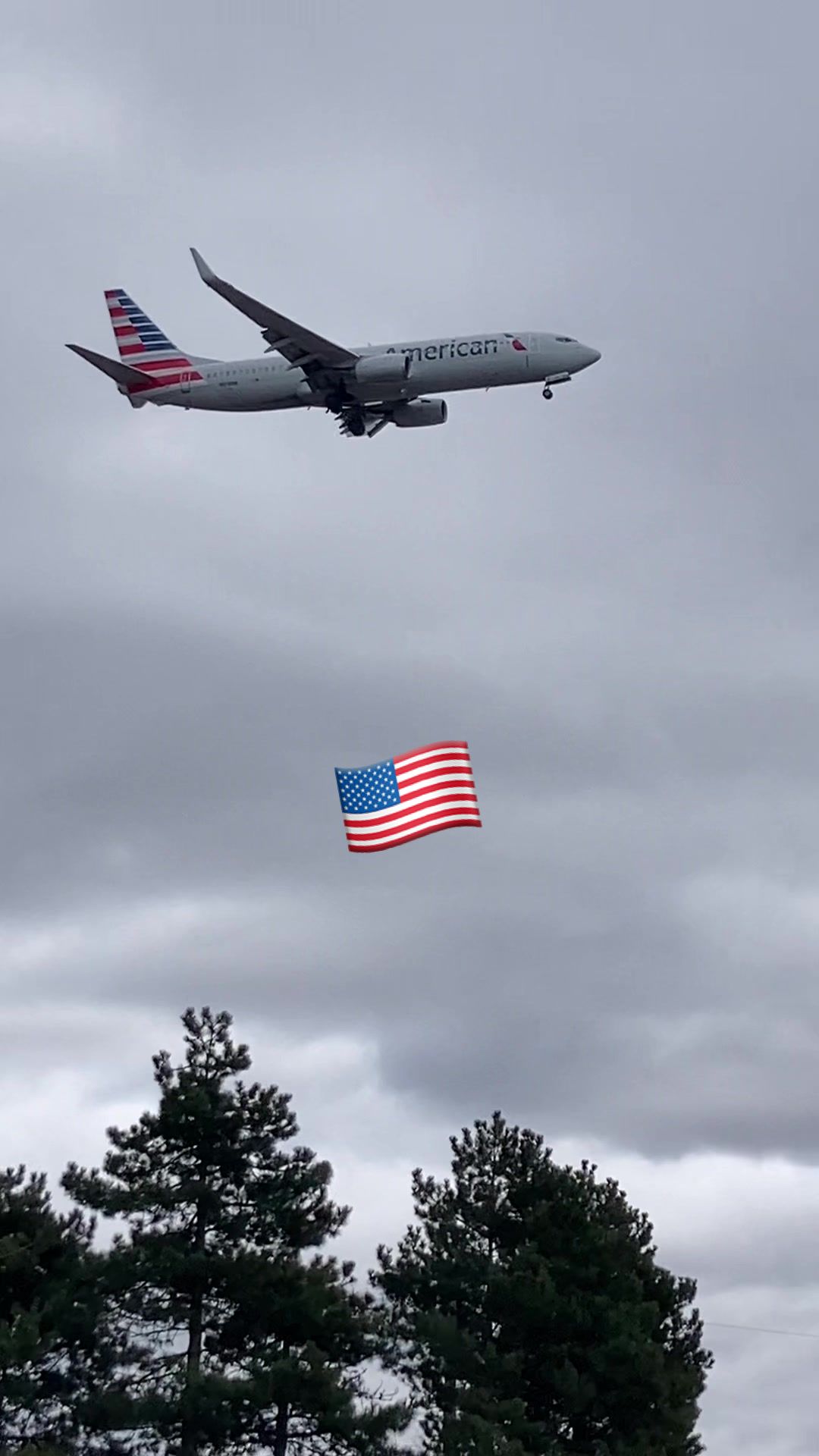 @Plane Spotting YYB