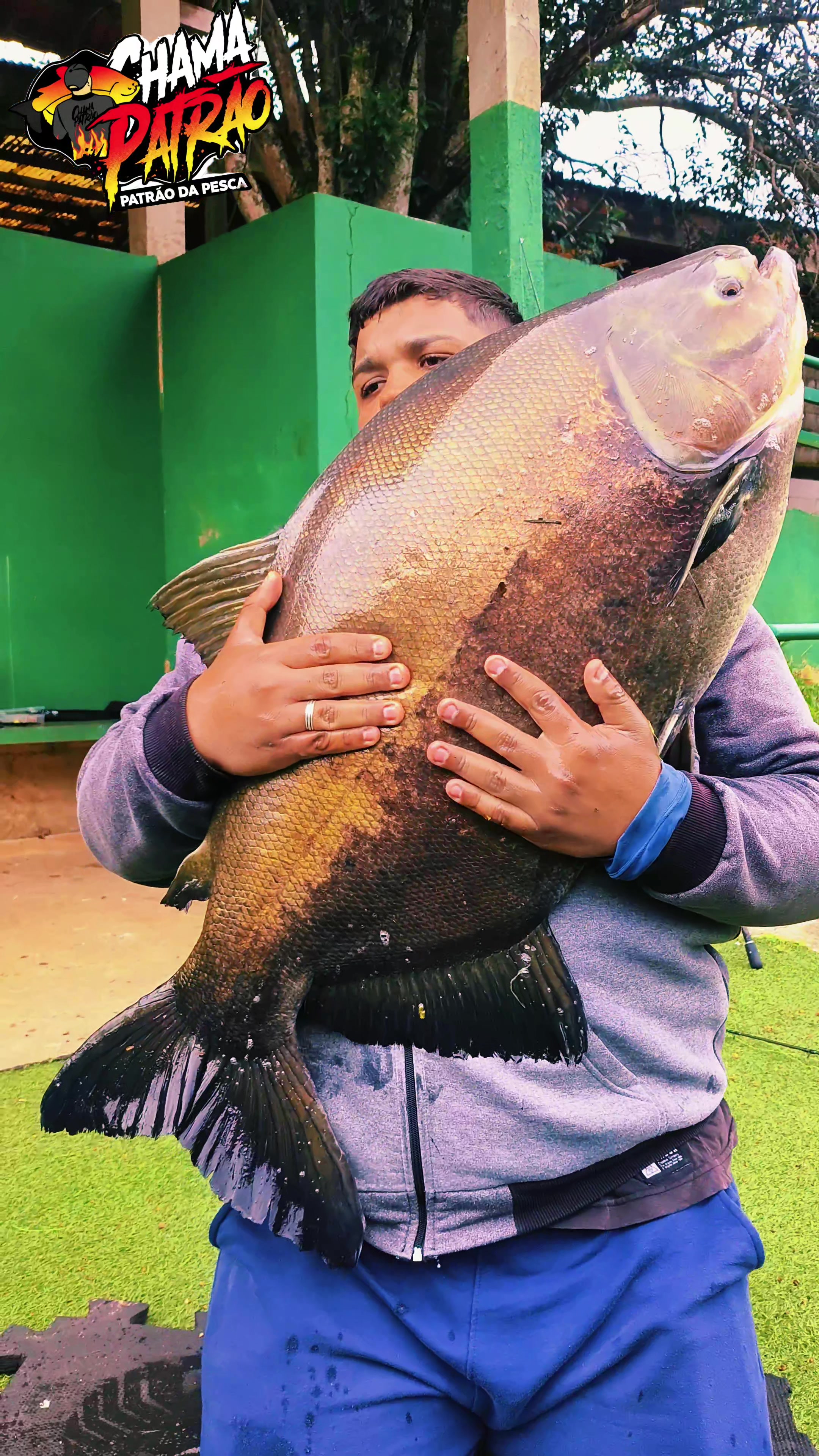 @Patr&atilde;o da Pesca