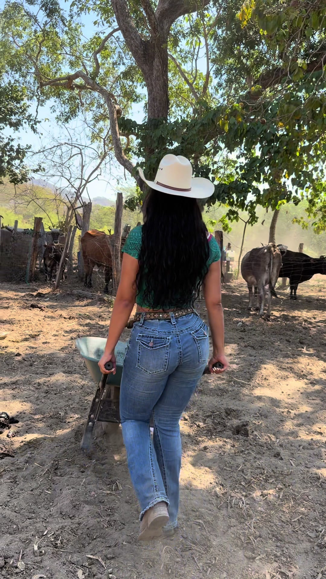 @alejandra.kandy