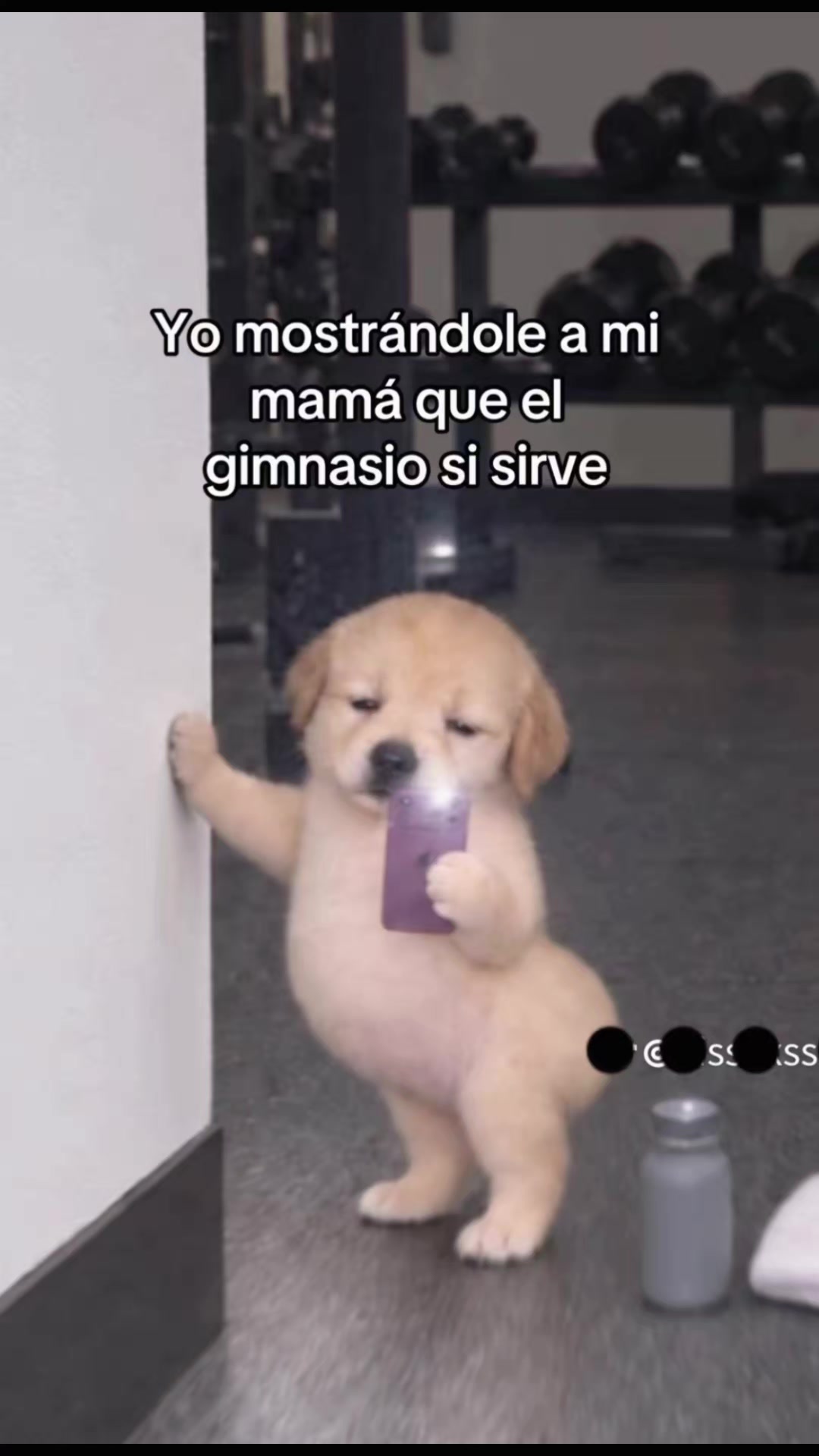 @Aleja Vanessa