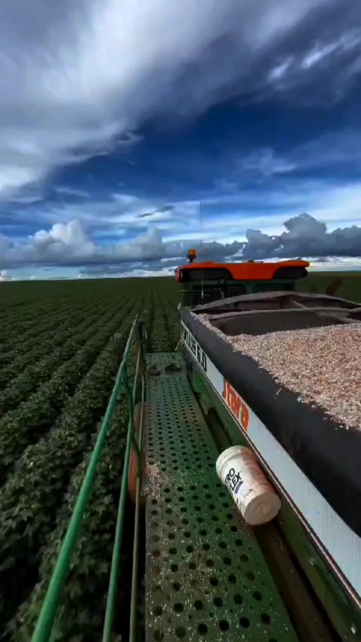 @gurizada_da_agricultura1