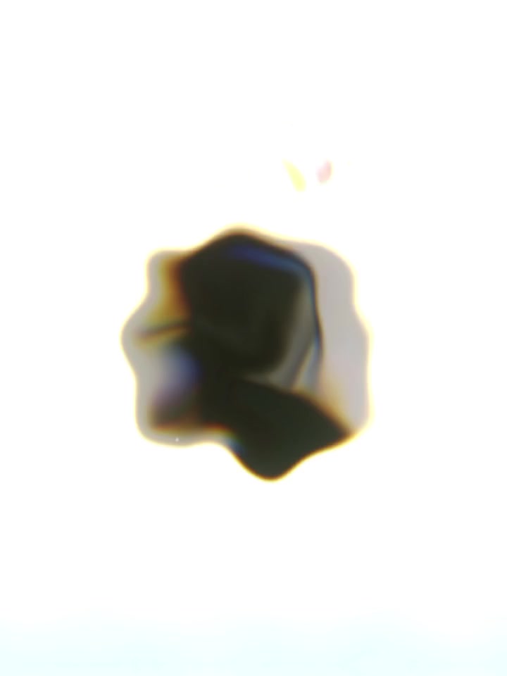 @꧁ᰔᩚ𝔸𝕟𝕚𝕜𝕒ᰔᩚ꧂
