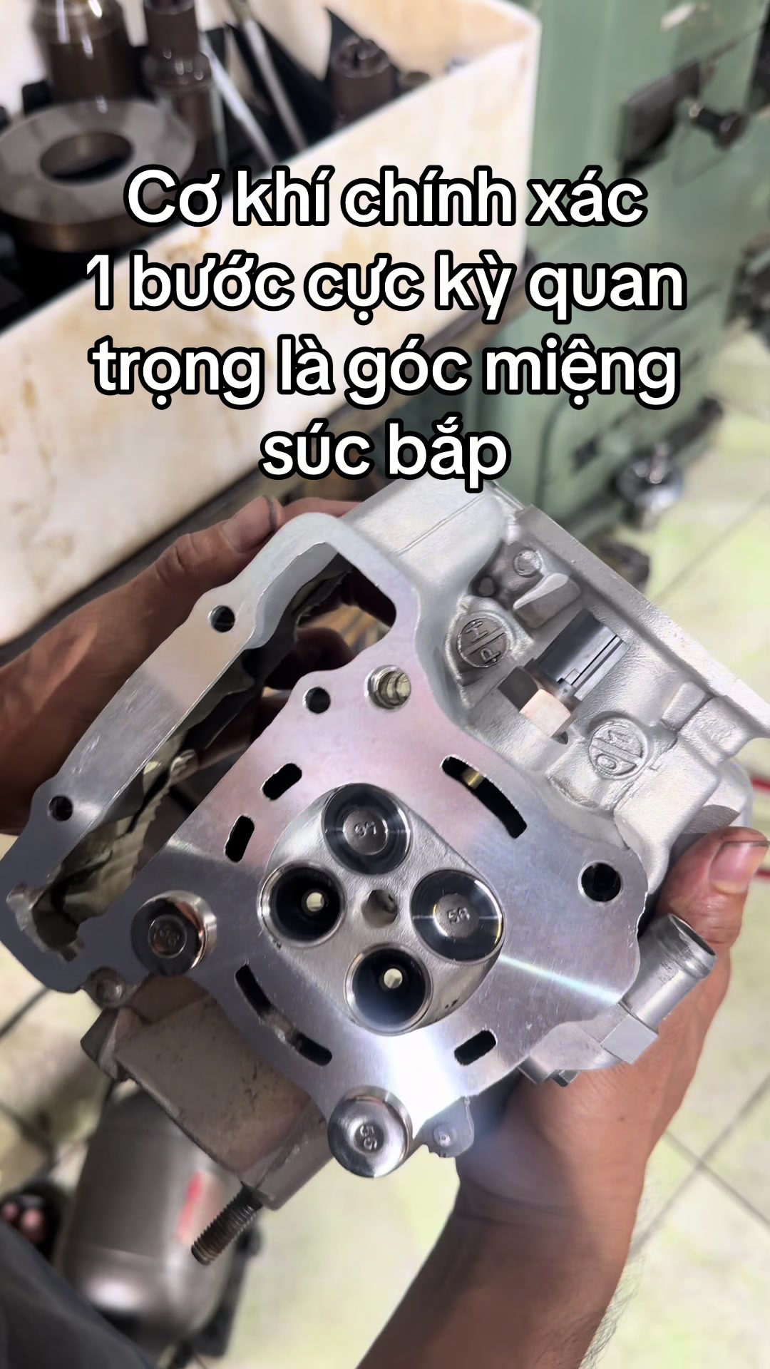 @Hiếu Mã Lò