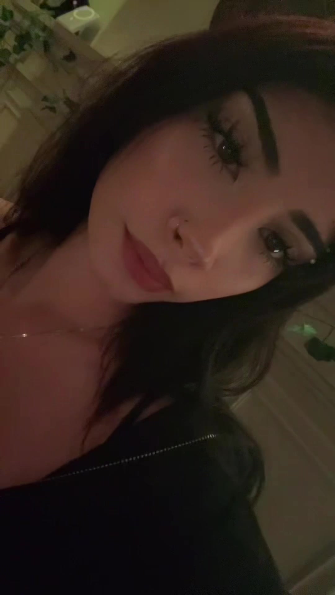 @🕊️
