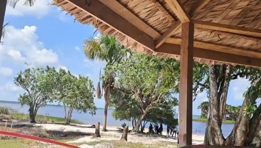 @dixee