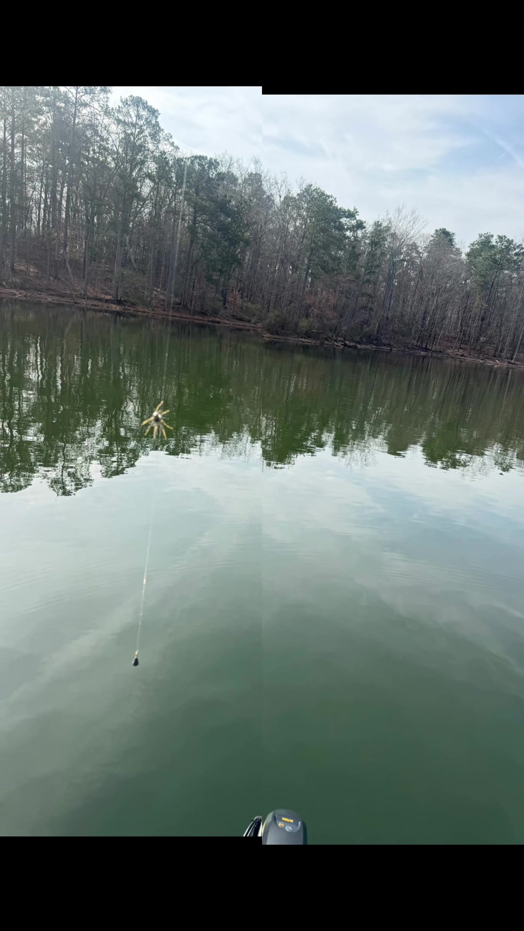 @STUCKINTHETREEFISHING