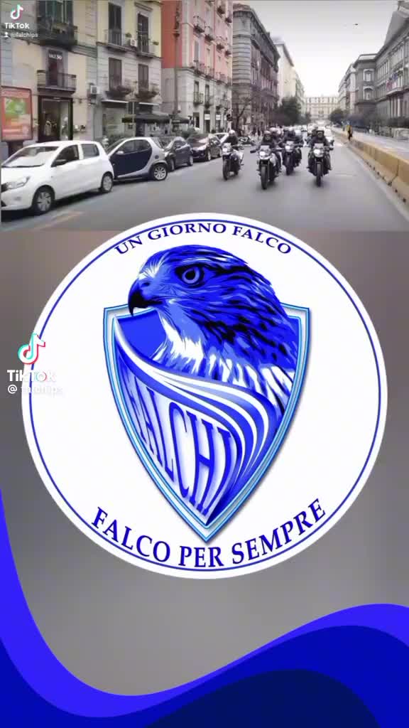 @IL FALCO DELLA NOTTE