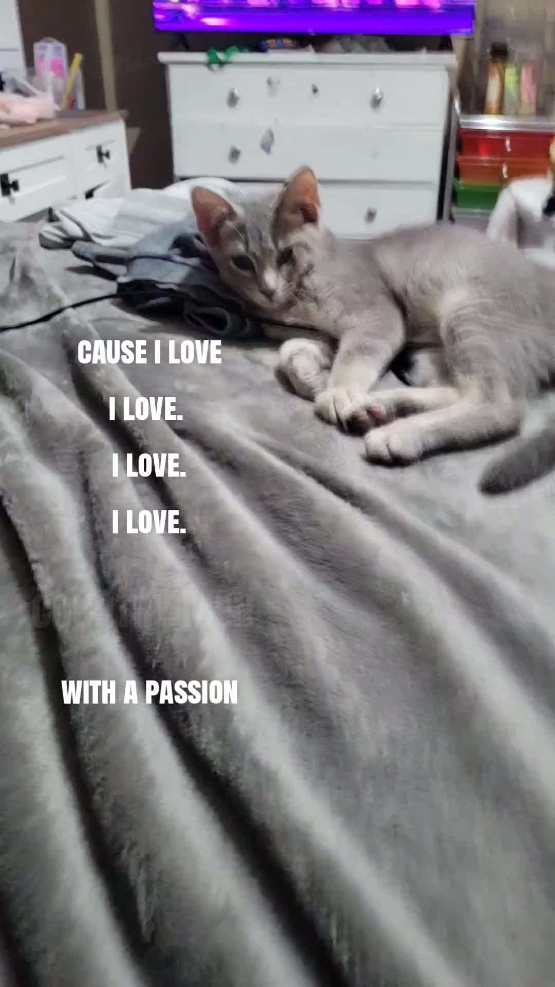 @your_gurl_miaaa76