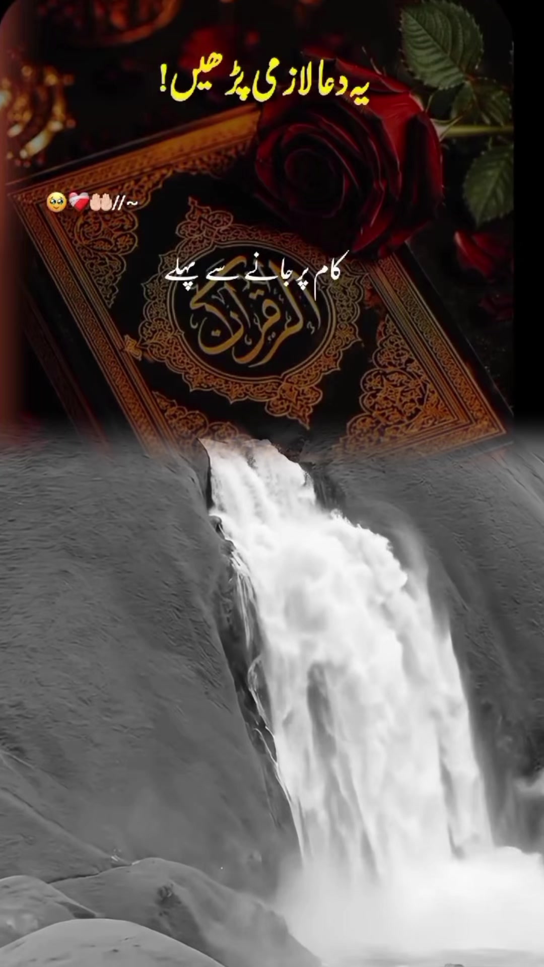 @madinamunawar7
