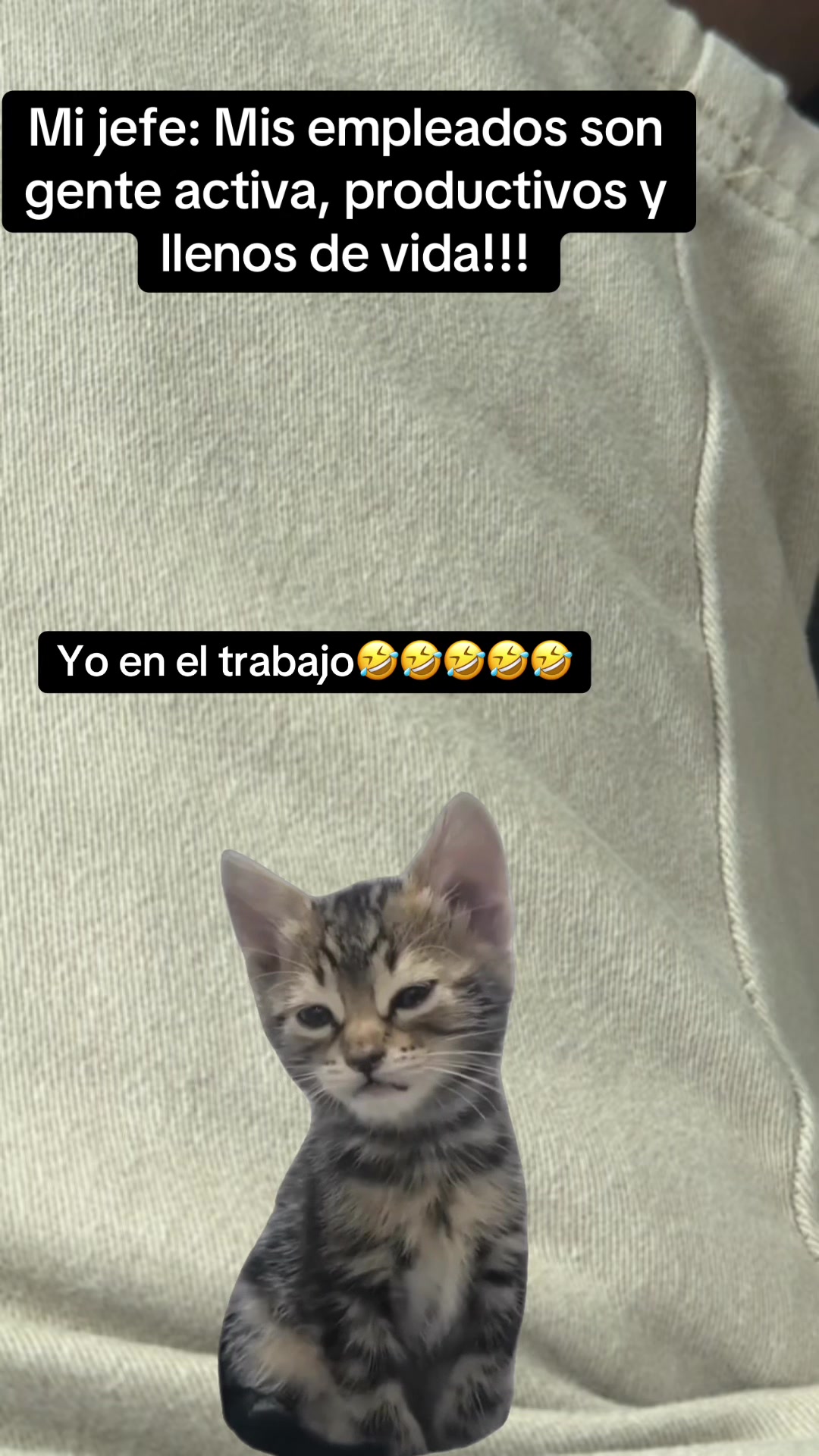 @Hernandez18-2 memes y mas
