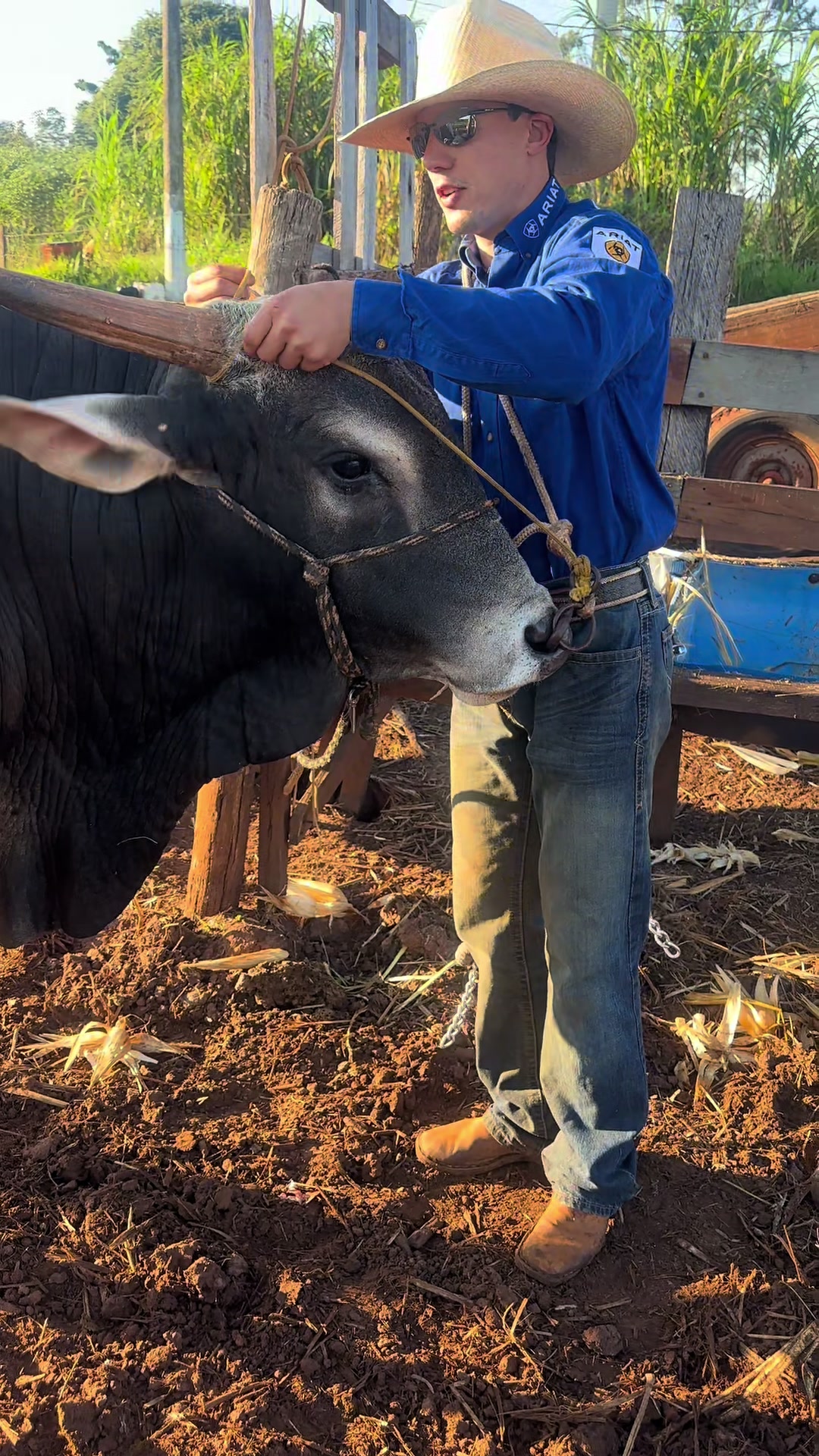 @MMOREIRA_OFICIAL