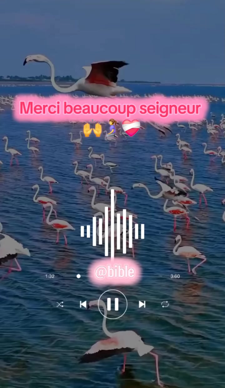 @☦️ Bible th&eacute;matique ⛪️