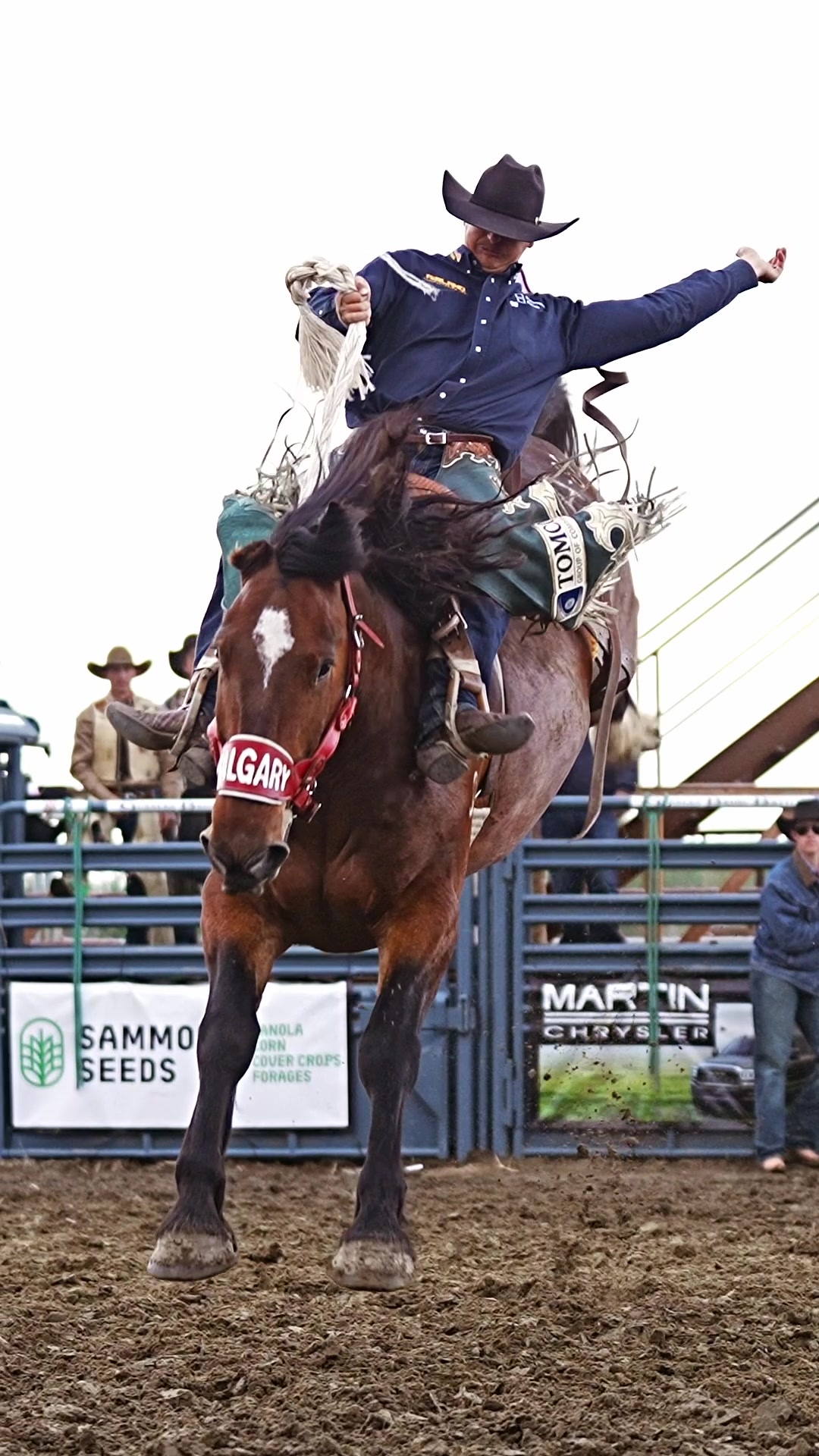 @Hanginghorses