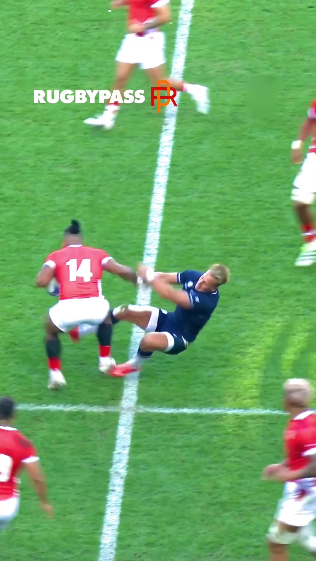 @RugbyPass