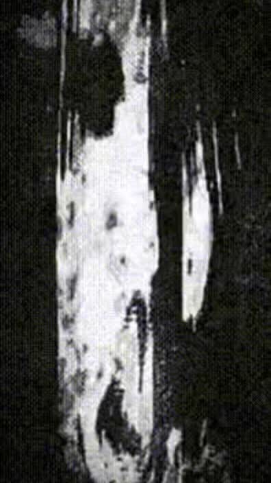 @œ_-.—..-:-;-.øß