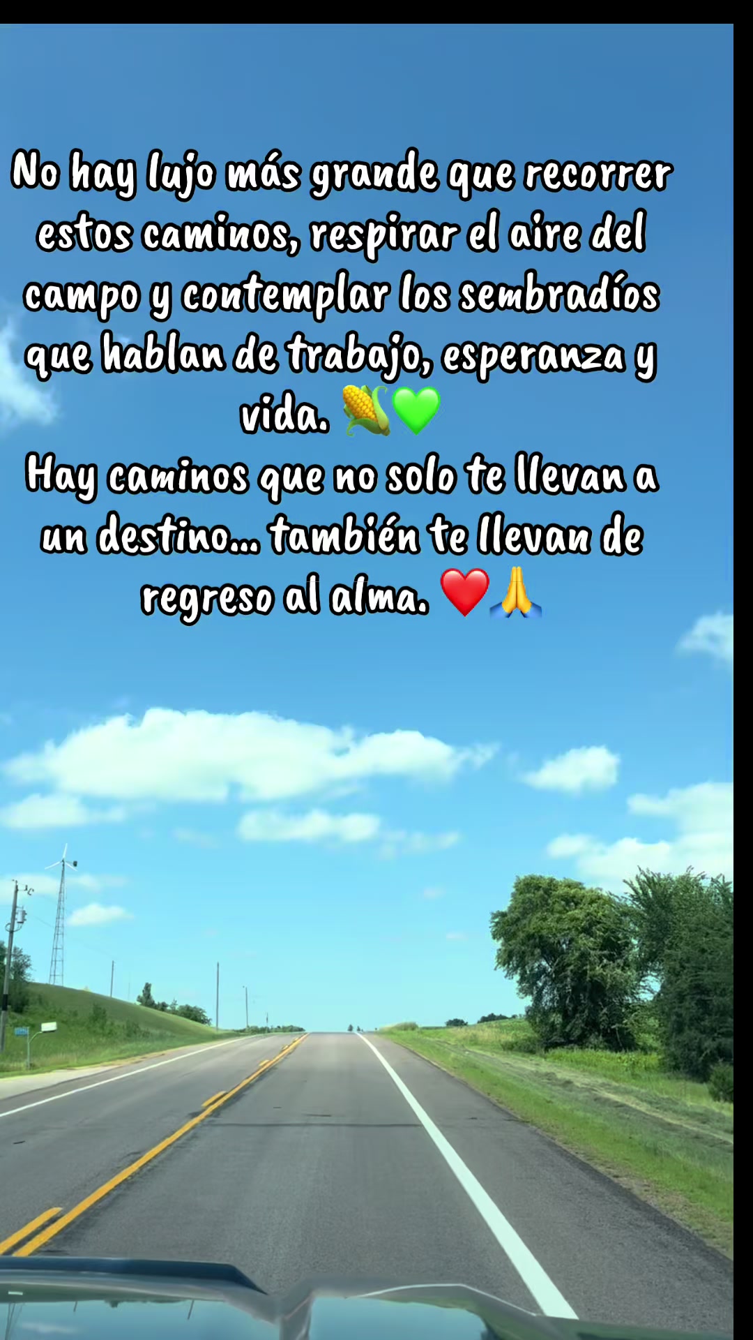 @🍂🍁🌻OTOÑO 🌻🍂🍁