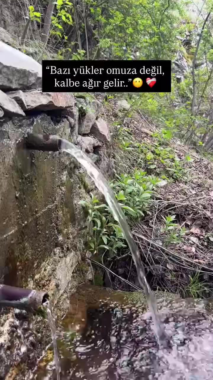 @Kaderimsin
