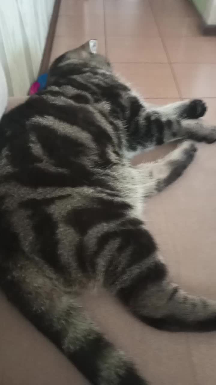 @&deg;&bull;<^-.[мэра].-^>&bull;&deg;