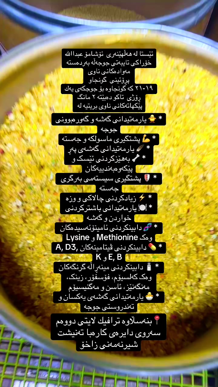 @ئۆشامۆ عبدالله🥇