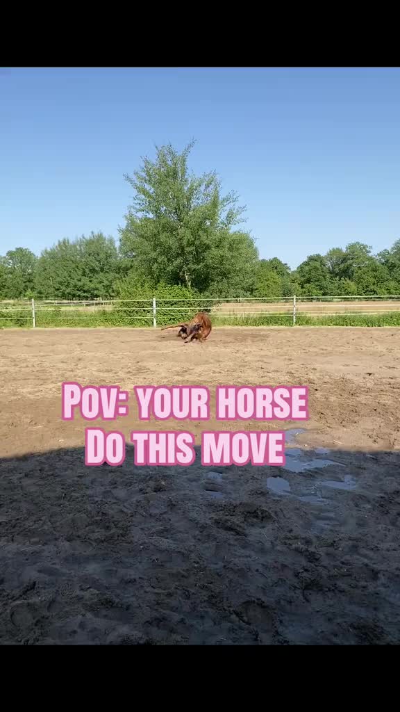 @Emma🐴🎀