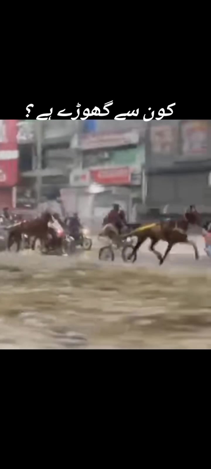 @🐴 گھوڑا شوق 🐴