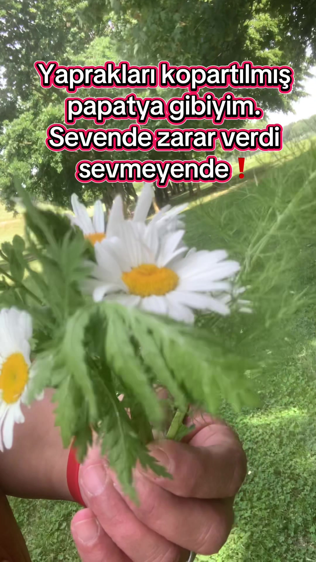 @Biricik Habby