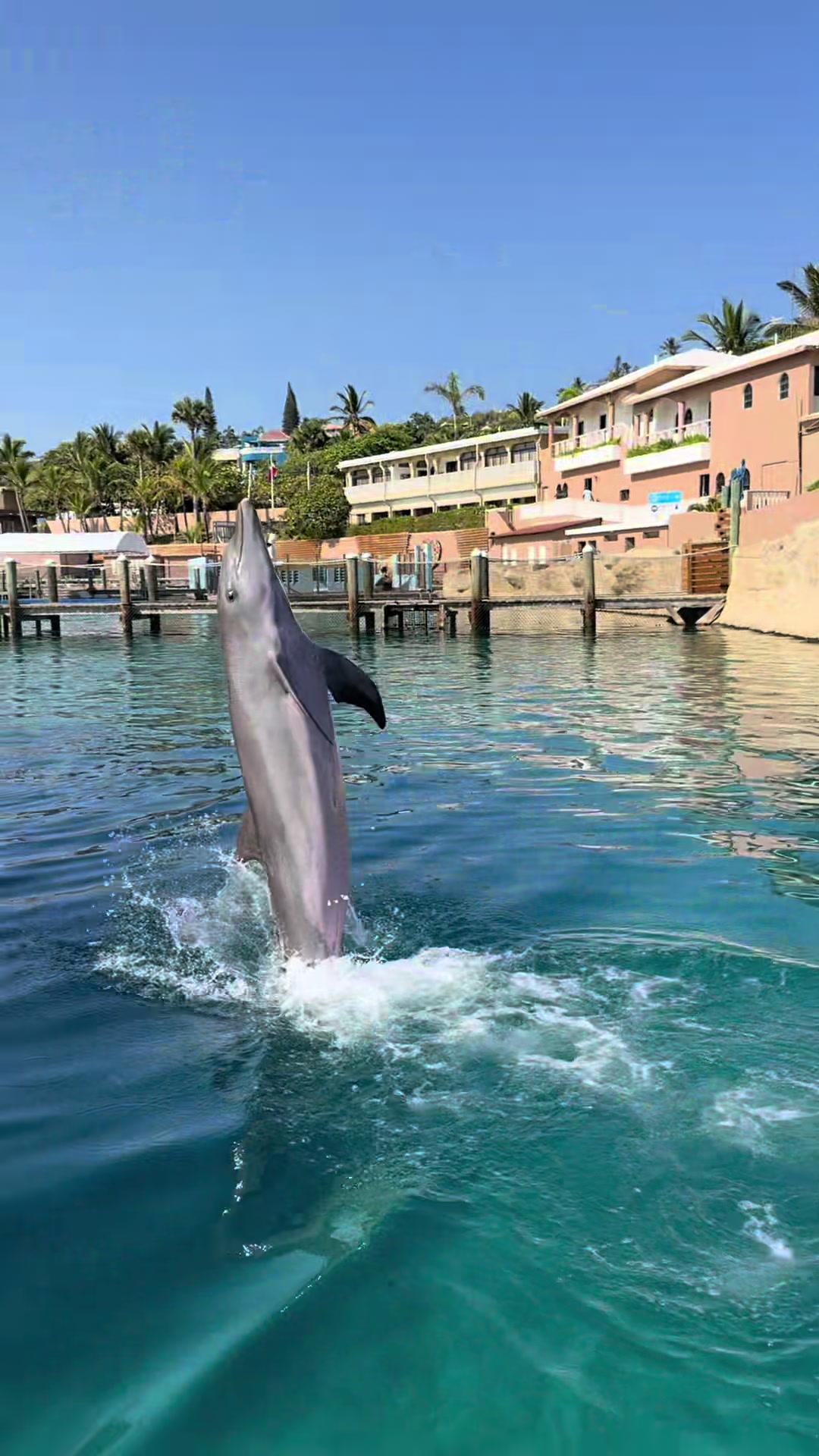 @oceanworldRD
