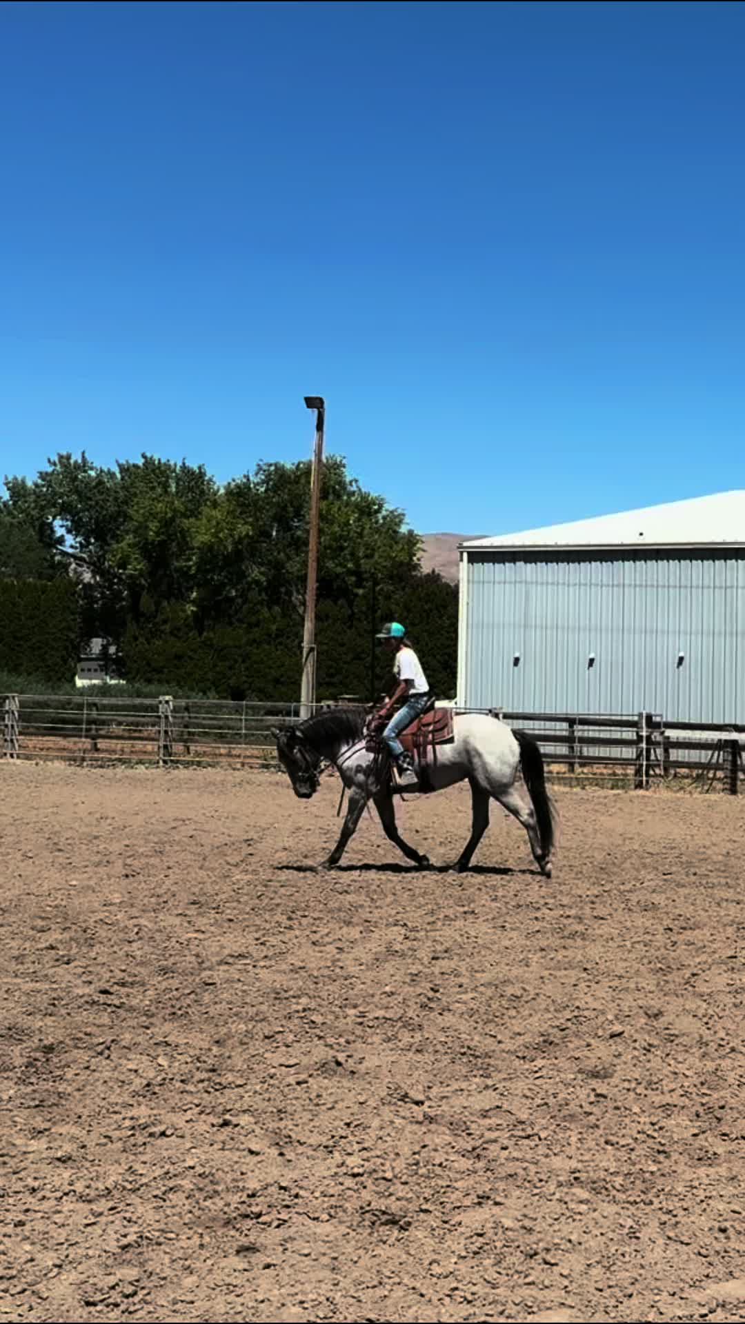 @Cowgirl Tuff Colt Training ❤️