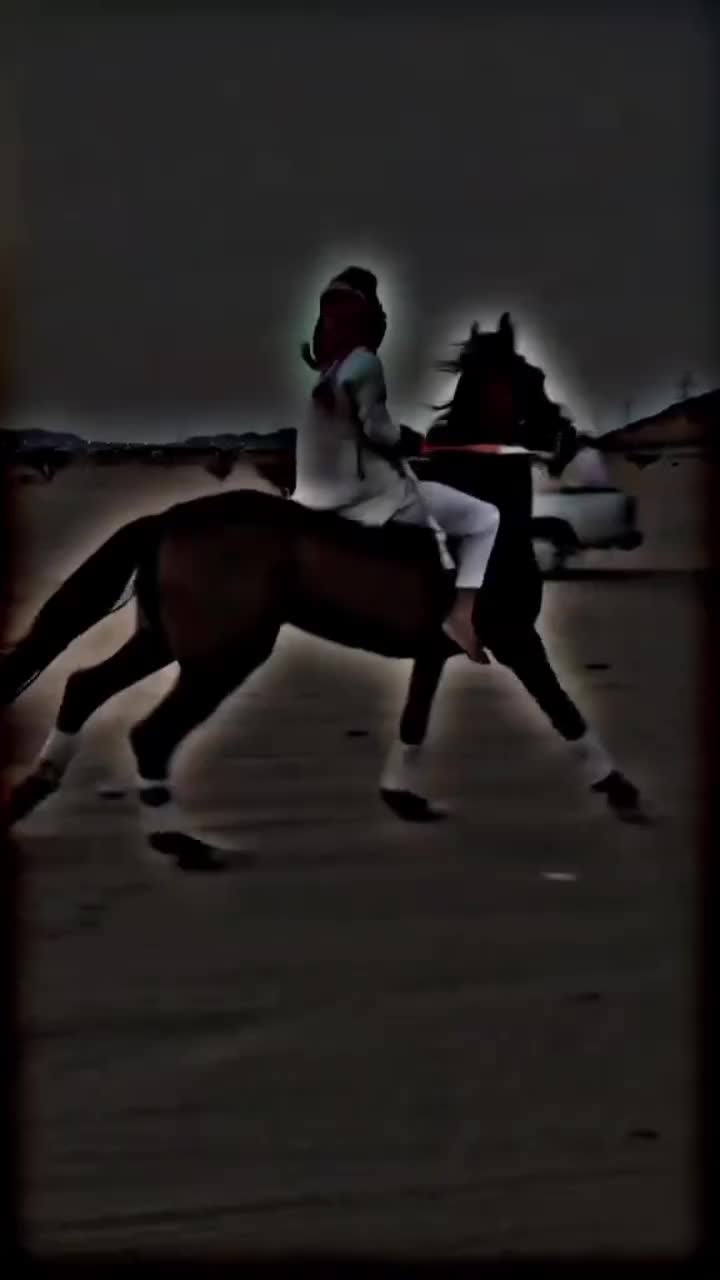 @⫸𝙈𝙞𝙍𝙯𝘼✫𝙎𝙖𝙍𝙆𝙖𝙍✫⫷