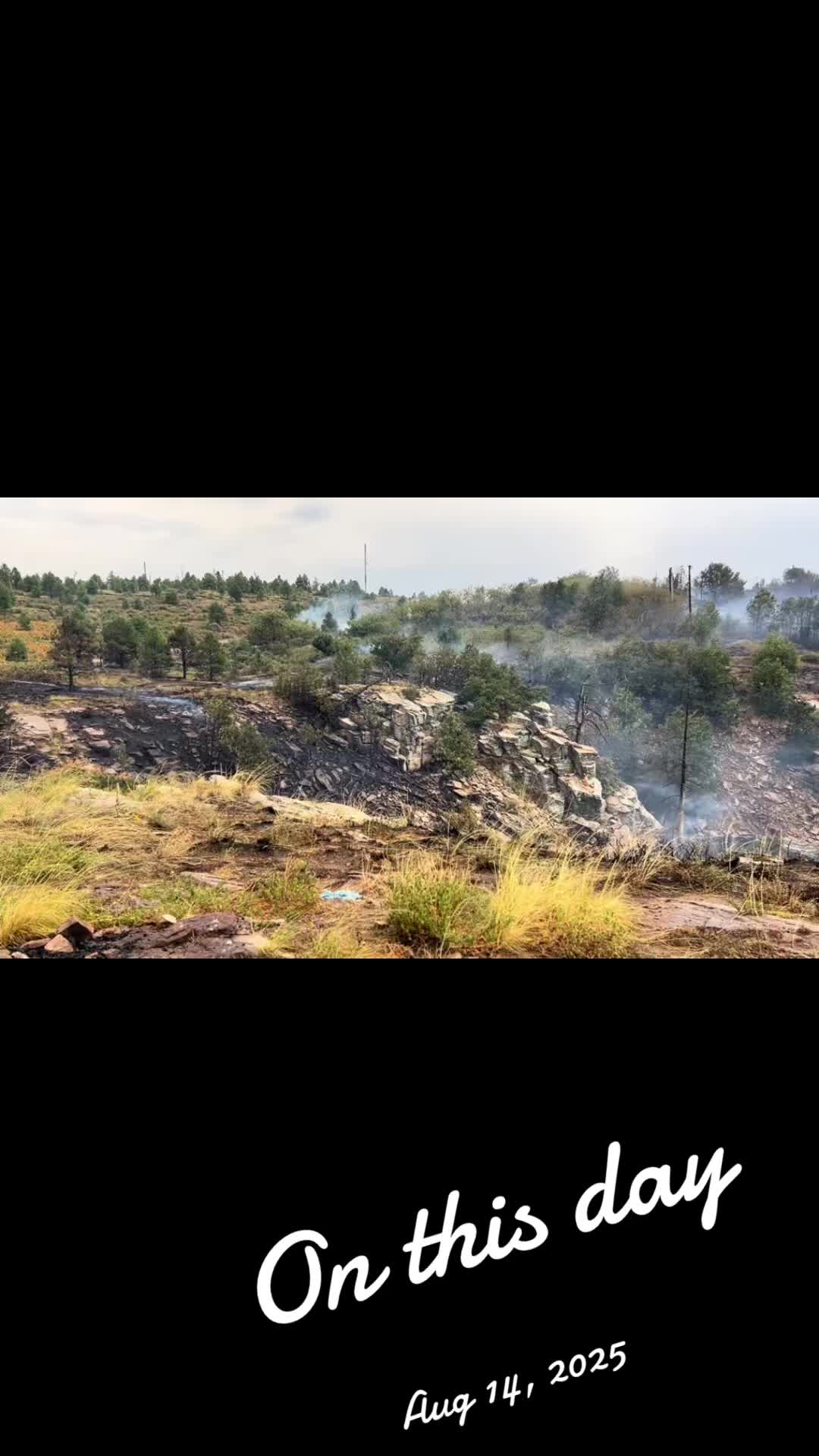 @iamwildland