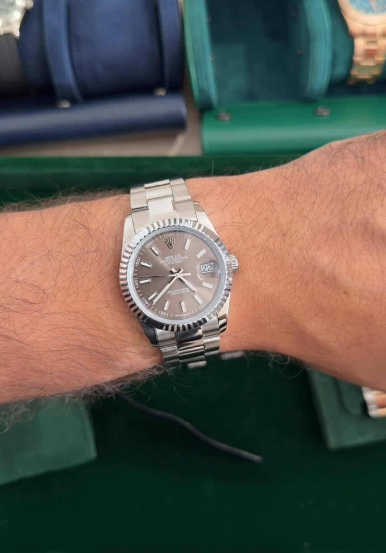 @Targui Watches ⌚️